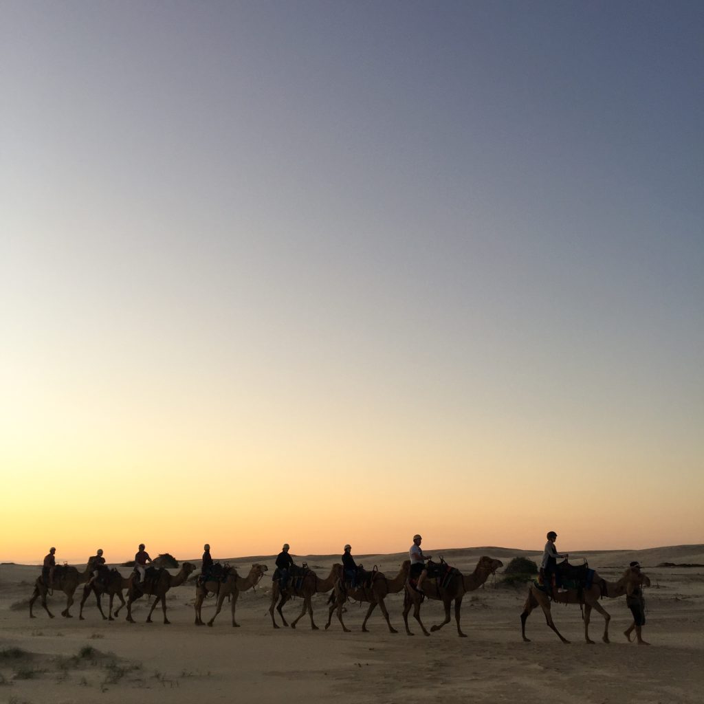 cab service in Jaisalmer