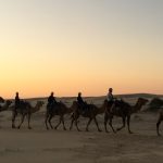 Camel Ride in Jaisalmer