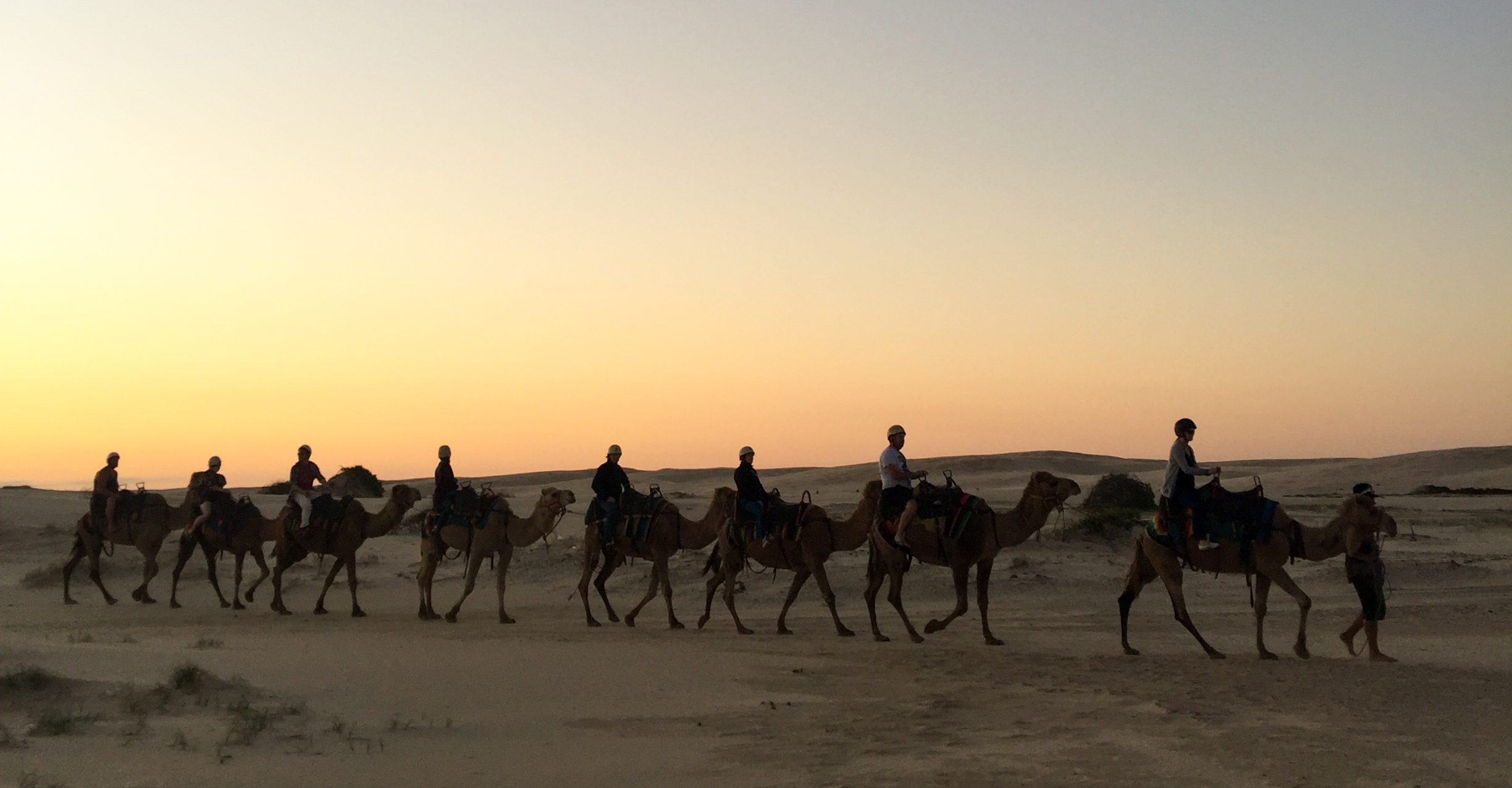 Camel Ride in Jaisalmer