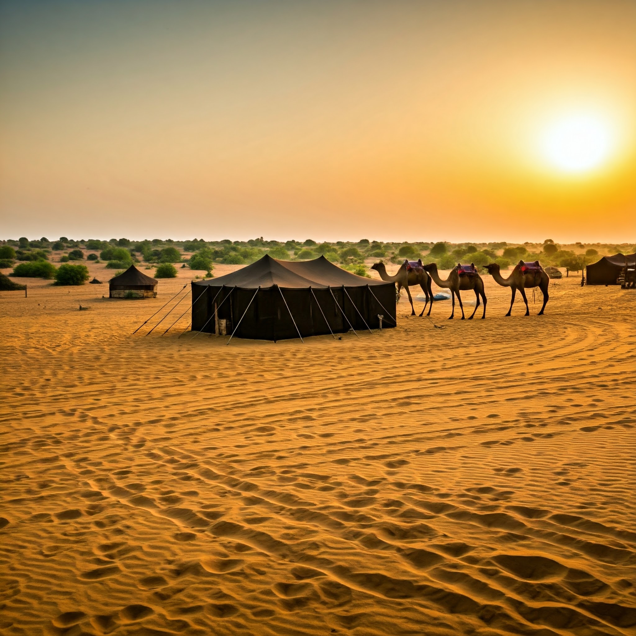 Rajasthan desert camp Jaisalmer