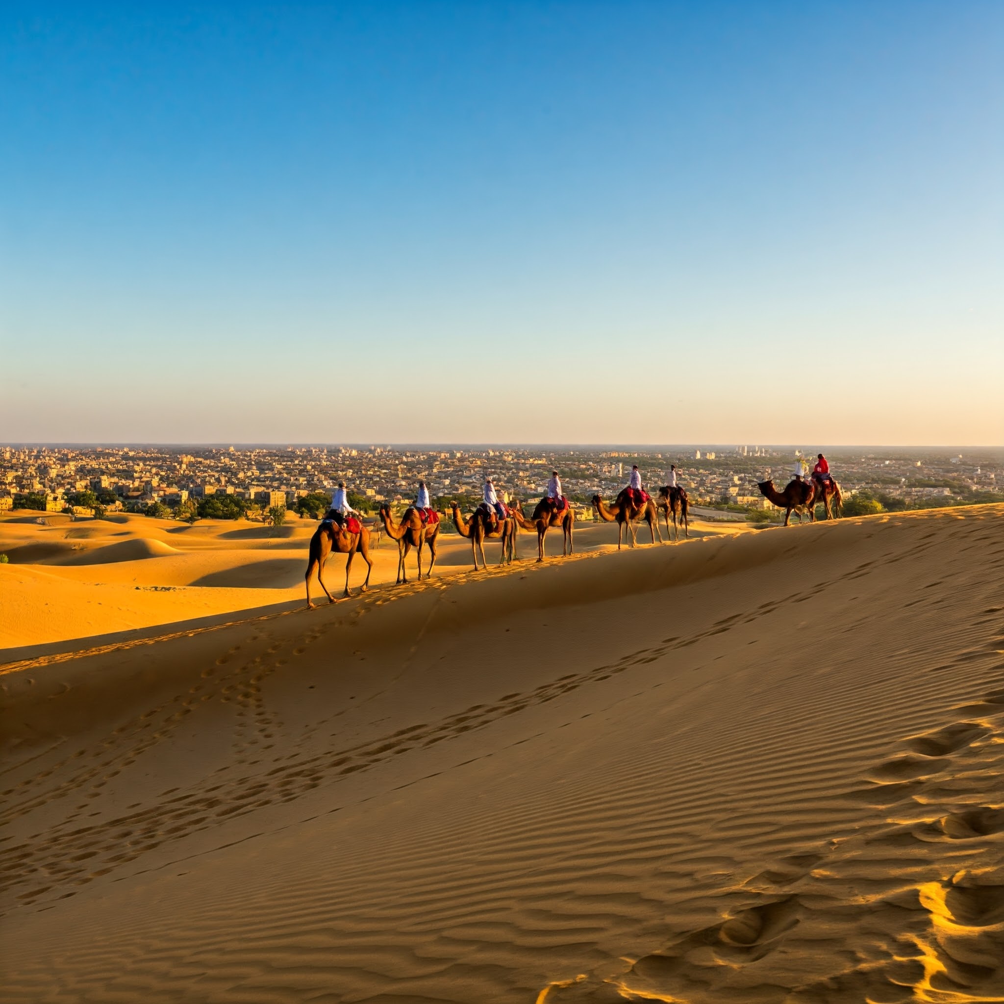 desert safari Jaisalmer Rajasthan