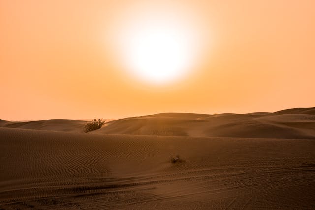 desert safari Jaisalmer Rajasthan 
