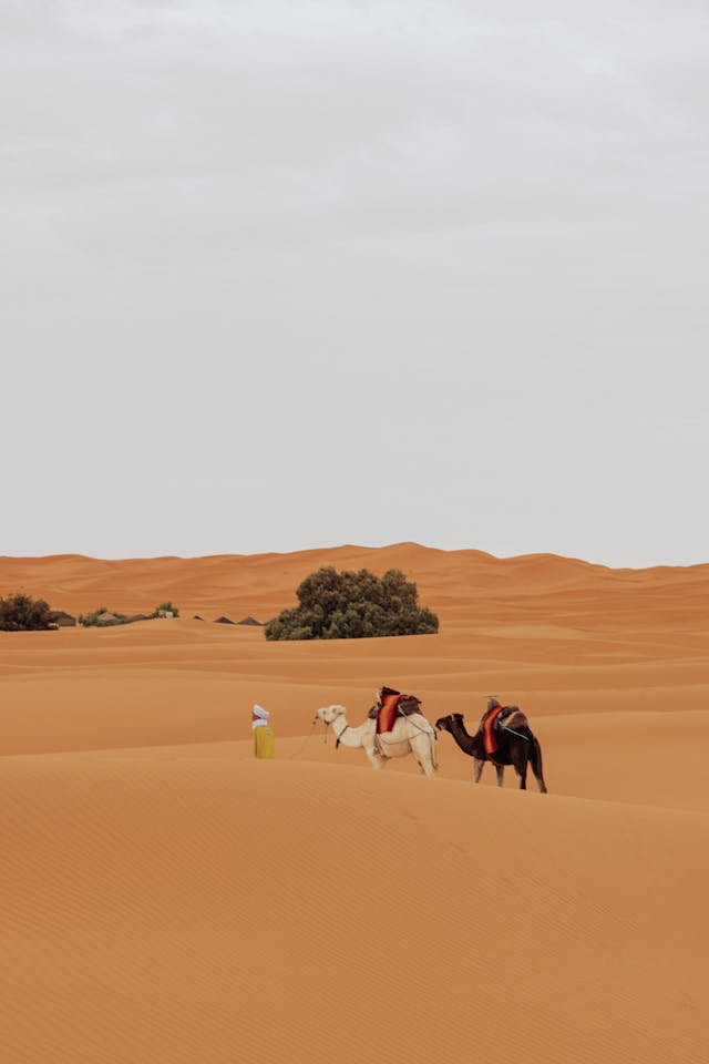 desert safari tent Jaisalmer 