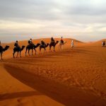 Jaisalmer desert safari